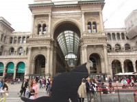 /album/miao-students/img-6359-jpg/