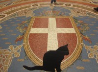 /album/miao-students/img-6371-jpg/